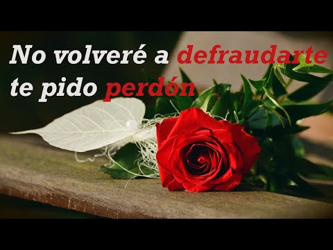 Perdón por ser celosa, pero mi amor por ti es inmenso Perdón por ser celosa, pero mi amor por ti es inmenso