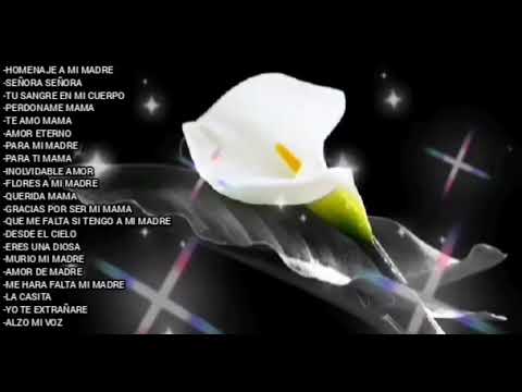 Recordando a mi madre en el cielo en su cumpleaños: un tributo de amor eterno Recordando a mi madre en el cielo en su cumpleaños: un tributo de amor eterno