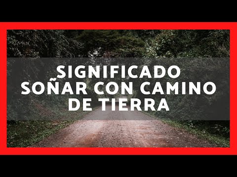Descubre la magia de soñar con un camino de tierra y árboles Descubre la magia de soñar con un camino de tierra y árboles