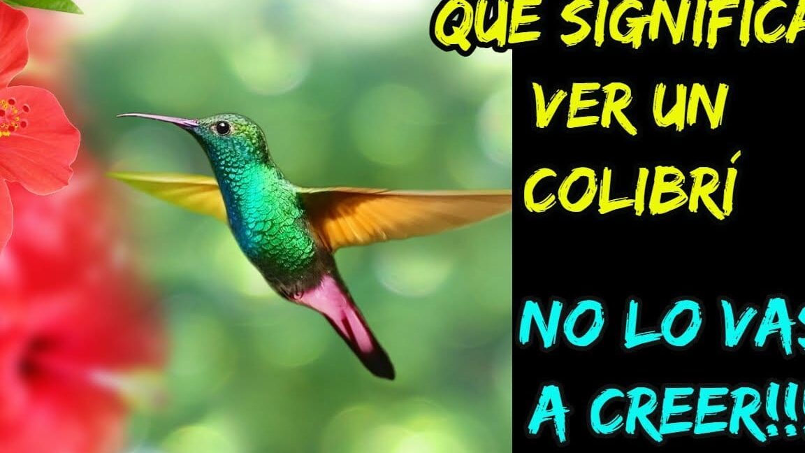 El simbolismo del color verde en la Biblia: significado y mensajes reveladores 1 El simbolismo del color verde en la Biblia: significado y mensajes reveladores