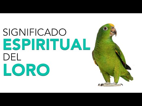 Descubre el significado de soñar con un perico: mensajes del subconsciente Descubre el significado de soñar con un perico: mensajes del subconsciente