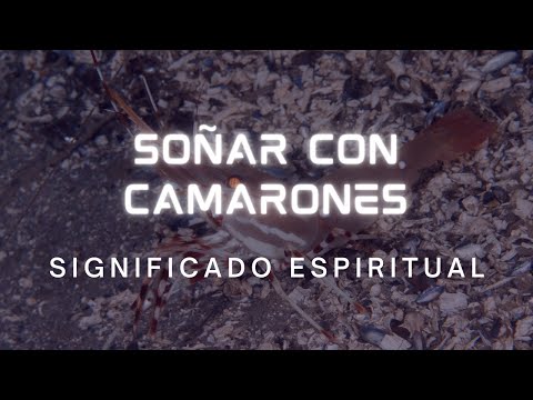 Descubre la interpretación de soñar con camarones cocidos Descubre la interpretación de soñar con camarones cocidos