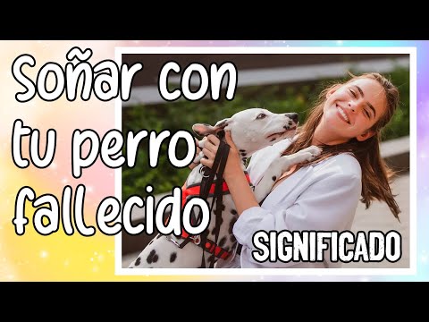 Descubre el significado de soñar que tu perro muerto está vivo Descubre el significado de soñar que tu perro muerto está vivo