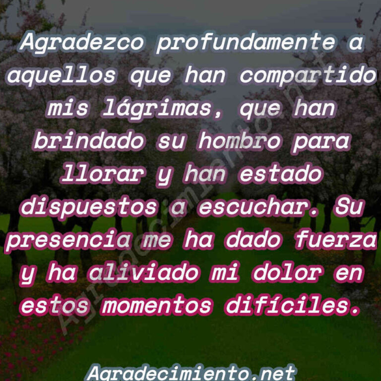 Palabras de agradecimiento por la pérdida de un ser querido: cómo ...