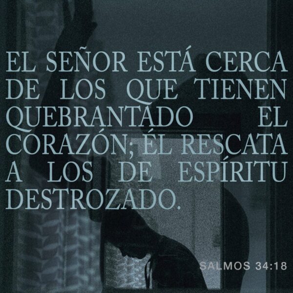 Palabras de aliento para sanar un corazón roto: encuentra consuelo y ...