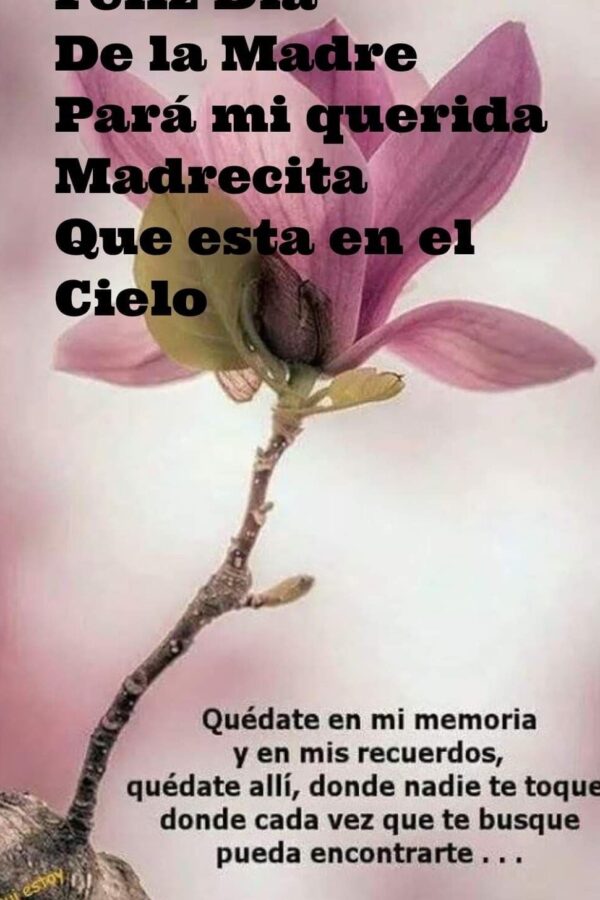 Recuerdos en verso: poema a mamá que está en el cielo