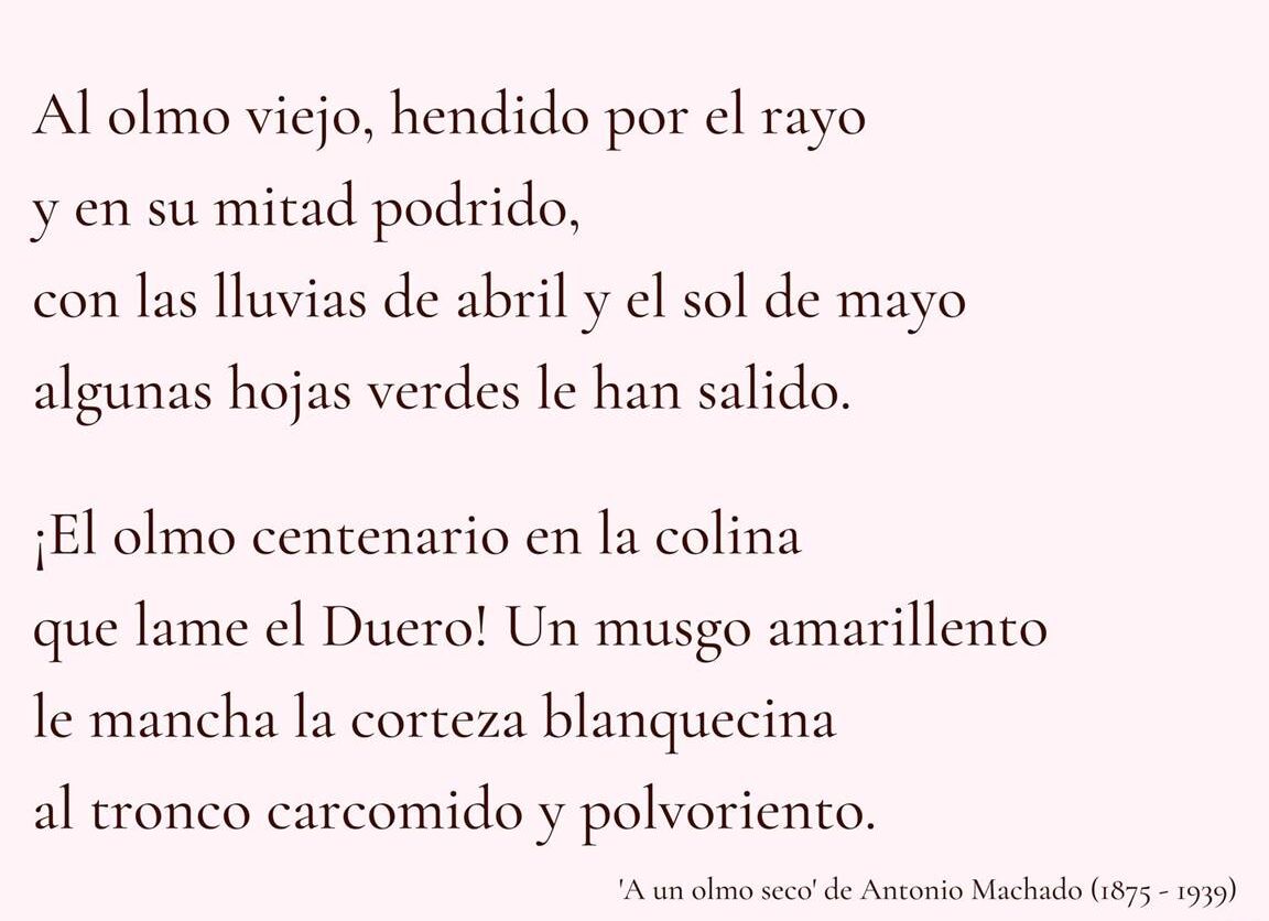Versos de amor eterno: poema para mi mejor amiga, mi madre 1 Versos de amor eterno: poema para mi mejor amiga, mi madre